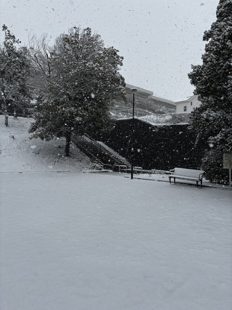 DeccoKnym's tweet photo. #暑すぎるので雪の画像で涼もう見た人もやる 
自宅隣の公園と家から外の景色
半年前の自宅周辺でこんなに雪降ったのね〜🧐 https://t.co/JfVRqtSvFE