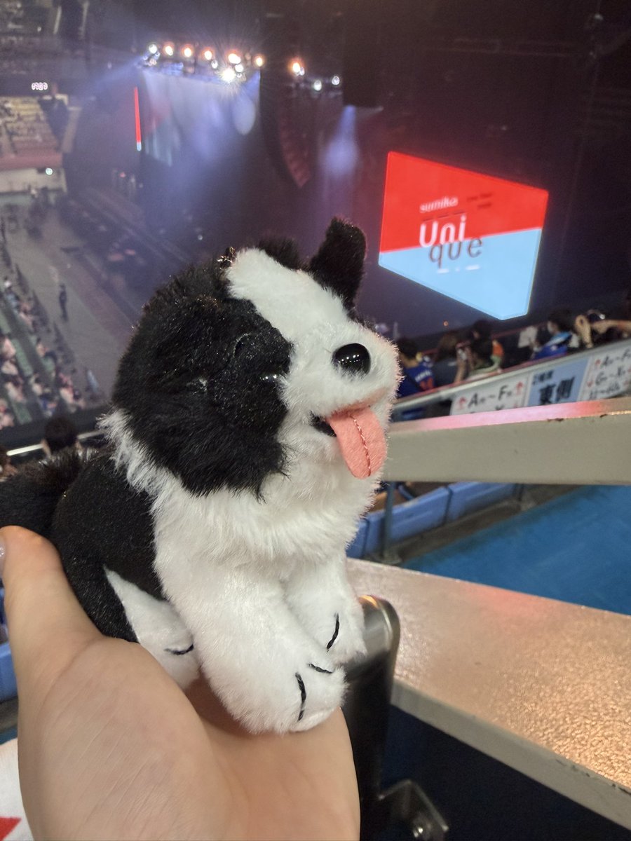 Maru_8205's tweet photo. ツアーファイナル最高でした。。
ラストの願い良すぎた😭

次はFlügel Letterツアー楽しみだなぁ。

#sumika
#Unique https://t.co/22UyjmPZ2w