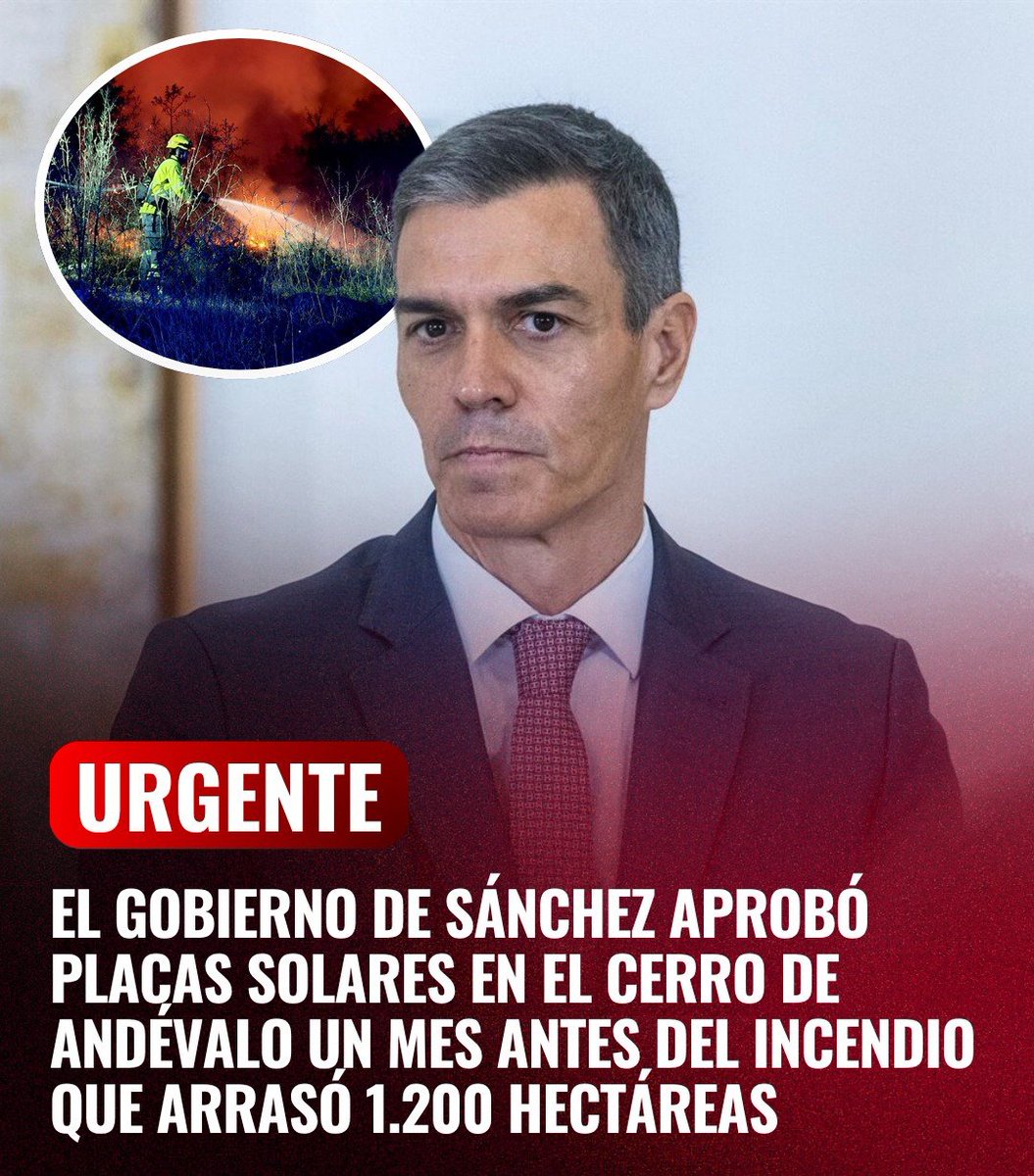 MartaSevilla tweet media