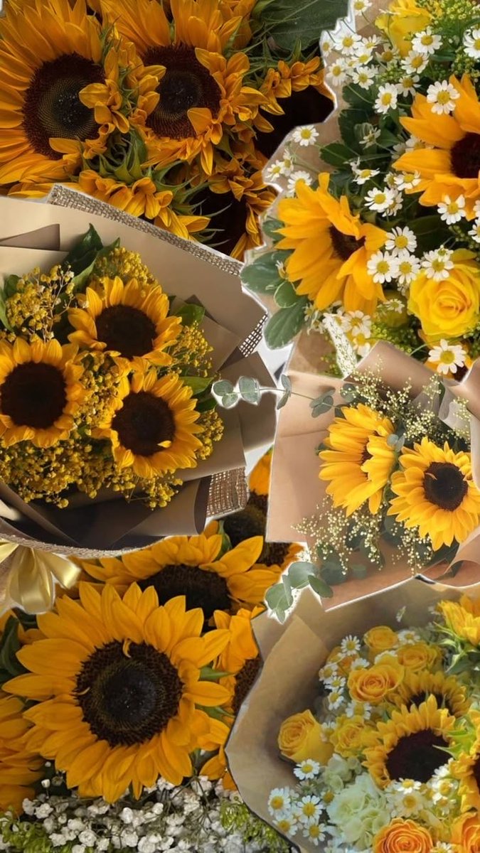 SUNFLOWER 🌻 tweet media