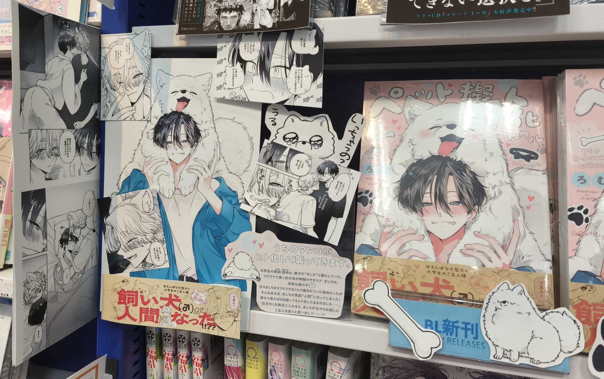 Baby_BL_Fusion's tweet photo. 『#ペット擬人化サークル』
#ろむ（@DDD5e）

アニメイト渋谷店（@animateshibuya）様に
お伺いさせていただきました〜🌟

サイン色紙などここでしか見れない展示がされております🥳
展示横のスペースにもたくさんのコマなどを飾っていただいております✨

ぜひお立ち寄りください！！ https://t.co/PAkxBVUrlK