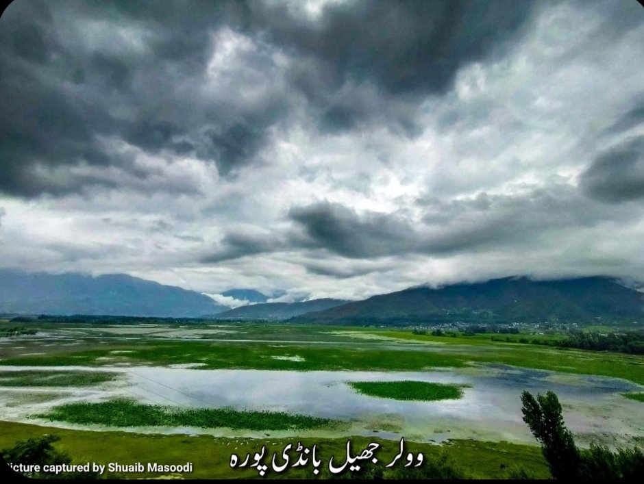 shuaibmasoodi's tweet photo. #wularlake #Bandipora https://t.co/0l4jftrgUA