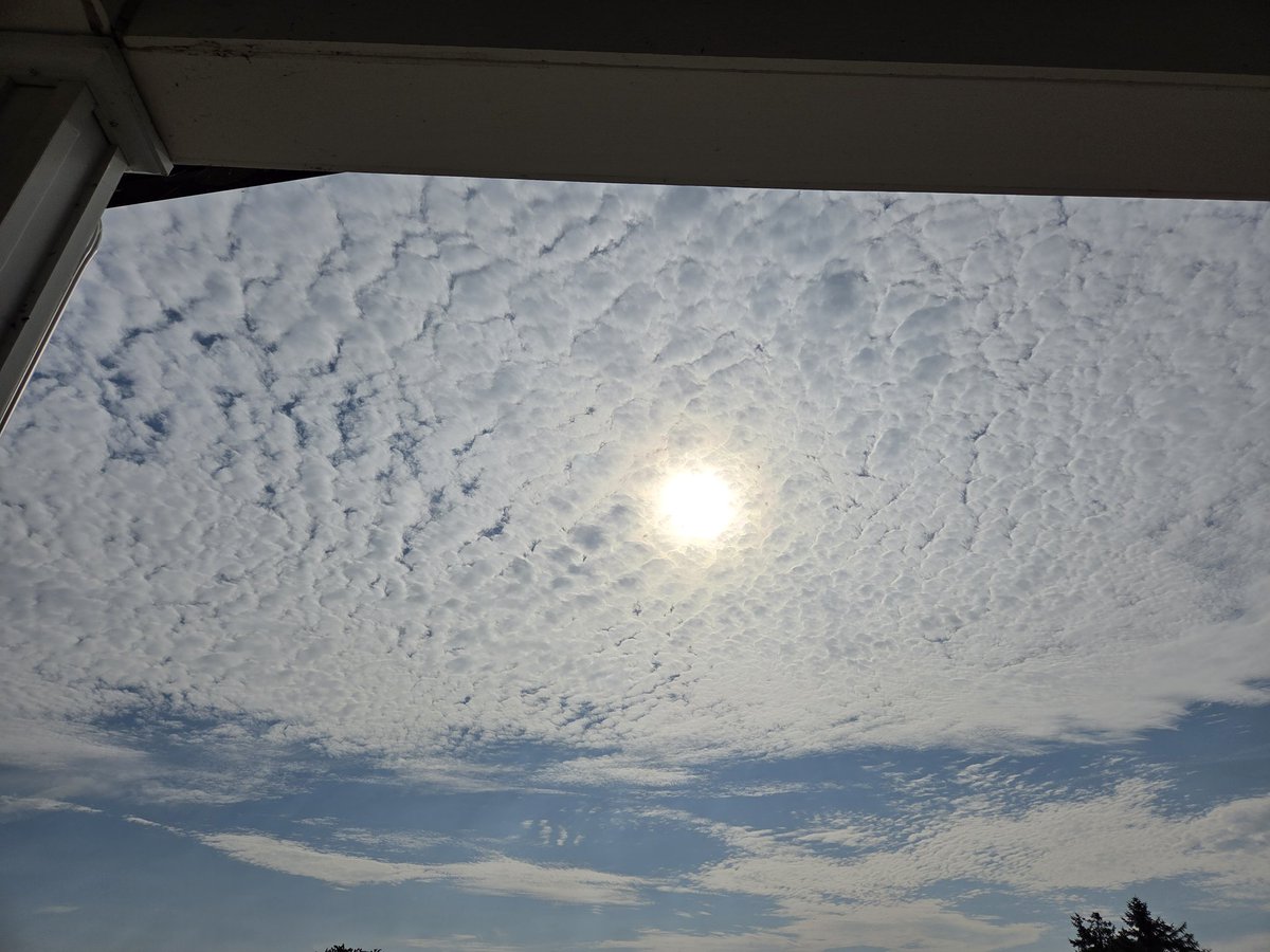 AGHoying's tweet photo. Front porch reading view #45845views @JamieJarosik https://t.co/qi4gmJgoSj