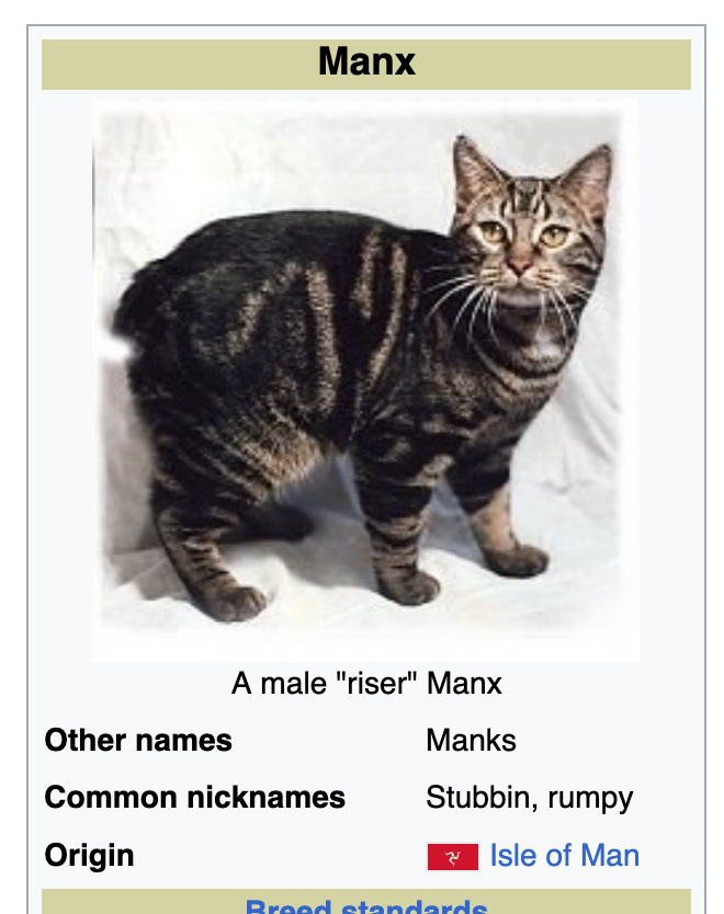 clicktwts's tweet photo. @Number10cat Manx.. Mancs.. Close enough? https://t.co/beCnmVKo6u