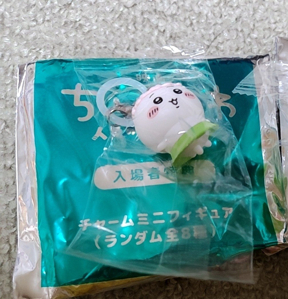 hachiware_richa's tweet photo. @maruopipipi 初めまして！フォロー外から失礼します🙇‍♀️
ちいかわを所持しております。
うさぎと郵送で交換して頂くことは可能でしょうか？よろしくお願いいたします🙏 https://t.co/kGB3zTAqQ7