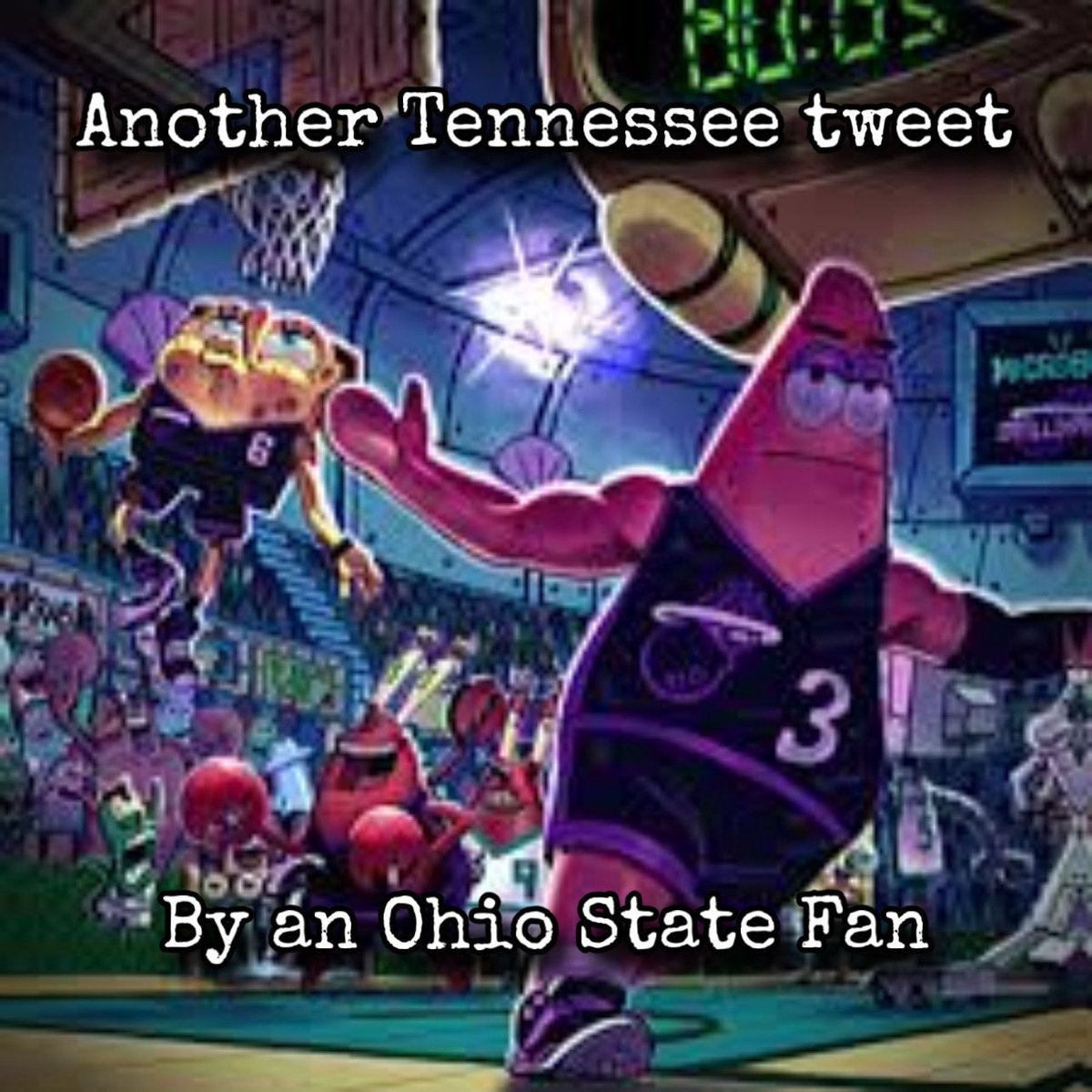 VolnationRecruiting tweet media