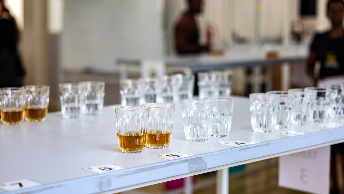 BestOfRwanda26's tweet photo. DAY 1, NATIONAL CUPPERS CALIBRATION & TRYOUTS

National Cuppers Calibration & Tryouts mark the first step in ensuring a fair and consistent evaluation process. Before the competition begins, participants align their sensory evaluations, review the cupping protocol and scoring criteria, discuss key aspects of the process, and clarify any questions.

The tryouts also assess each cupper's skills and consistency, ensuring that only qualified cuppers advance to evaluate coffees in the Best of Rwanda 2026 competition.

#BestOfRwanda2026 #RwandaCoffee #CoffeeCupping