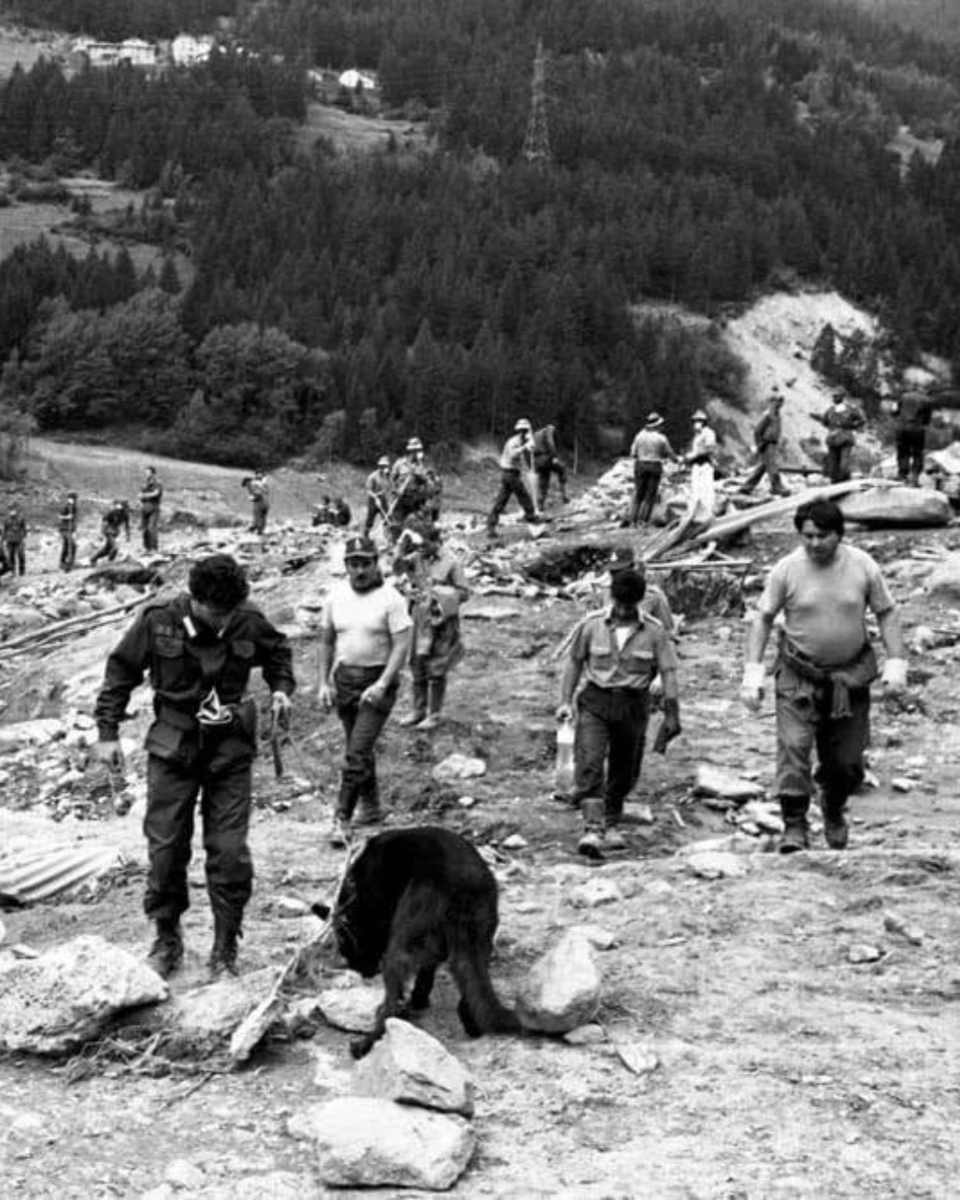 Dipartimento Protezione Civile tweet media
