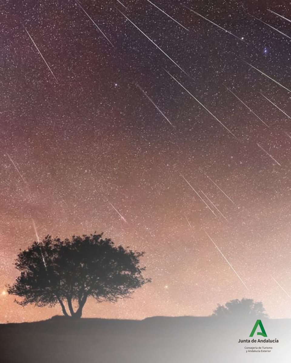 TurJaenAsoc's tweet photo. 🌠✨ Perseidas 2026 en la provincia de Jaén.

Del 17 de julio al 24 de agosto, el cielo vuelve a regalarnos uno de sus espectáculos más esperados. 💫

Jaén, y sus zonas starlight, son un auténtico escenario natural para disfrutar de este fenómeno único bajo el cielo del verano. https://t.co/70uxR0Lf5t