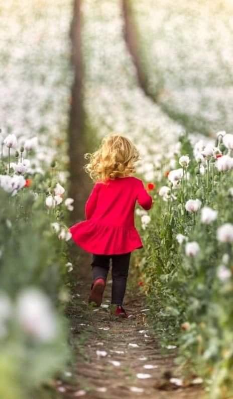 s_msonia's tweet photo. __"El Universo siempre conspira a favor de aquellos que tienen belleza en el Corazón".
#BuenosDiasMundo 
#FelizViernesATodos https://t.co/gy5vsUGoxV