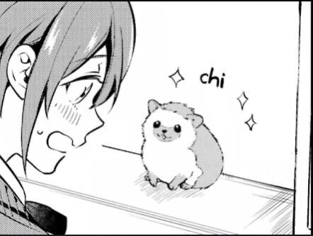 wiwi_wonderland's tweet photo. two hedgehogs looking at each other https://t.co/fC0qhuhRFe