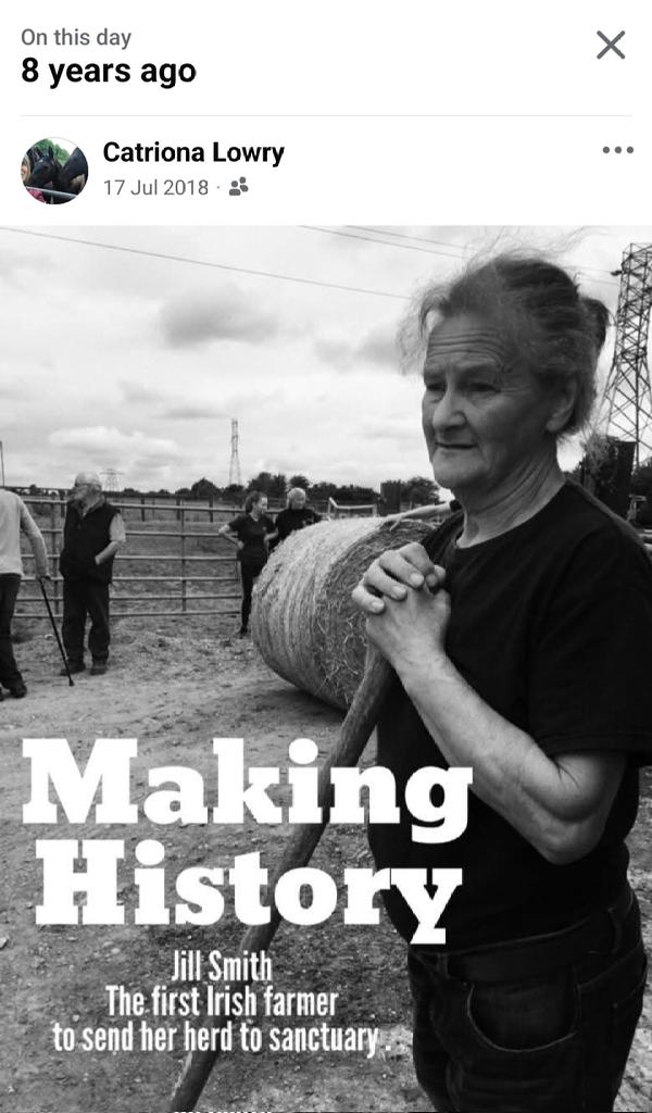 catlowry54's tweet photo. A memory. When I asked farmer #JillSmith the reasons she was sending her livestock to #sanctuary, she replied, 'because they should get to retire too' (she was retiring). How right she was.... https://t.co/RKlrrmev2b