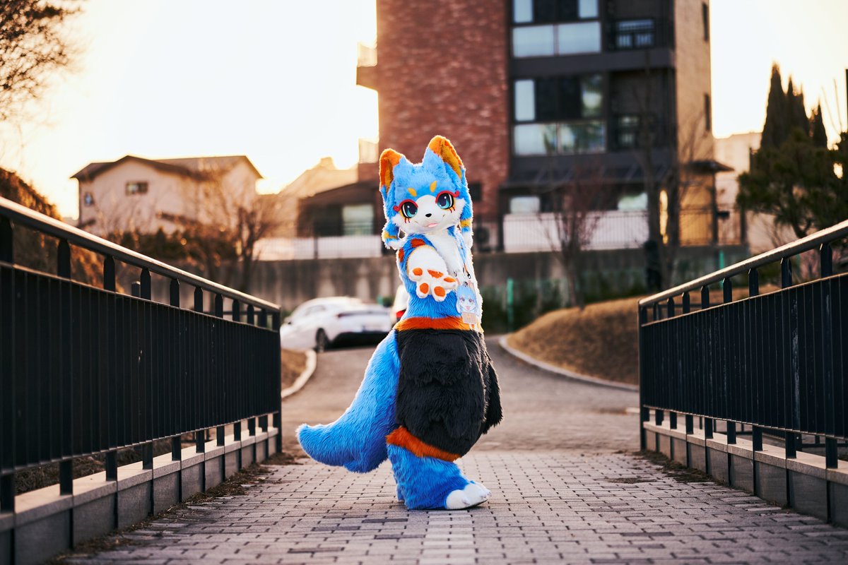 IMU_AB's tweet photo. 거기에 있지말고 따라올레??😆
나랑 있으면 재미있게 해줄께 !!✨

📸 : @_f0x15 

#FursuitFriday
#Furmony
#IMU https://t.co/3pt1F8sOMq