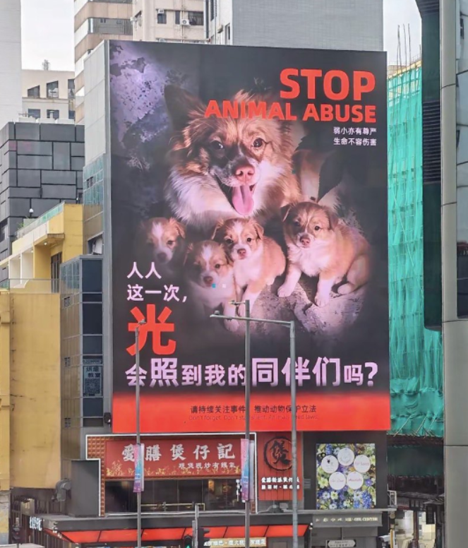 Jimcooks08's tweet photo. WANG WANG 

CA: 0x88510365f39b26c1eaa21eef6d40f0dde1964444

Lots of billboards are being placed up for wang wang story is just starting to spread https://t.co/FKSqKUPxjp https://t.co/EJxzT6NyW4