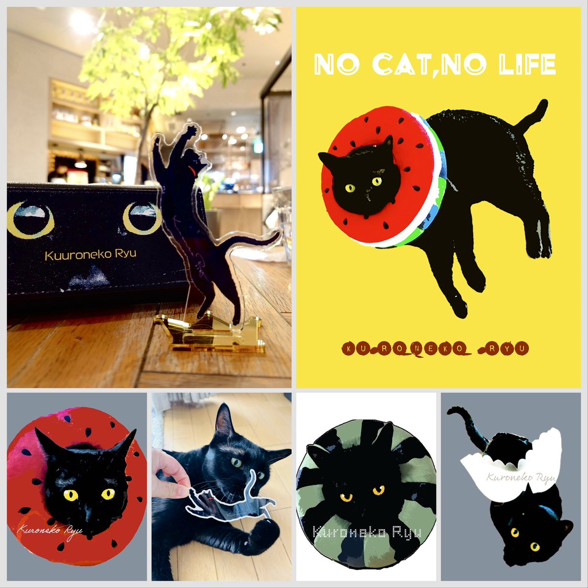 kazuyo0716yon's tweet photo. 「黒猫りゅう」で参加します🐈‍⬛✨✨

#ニャンズマーケット https://t.co/i1qs2yYHxO