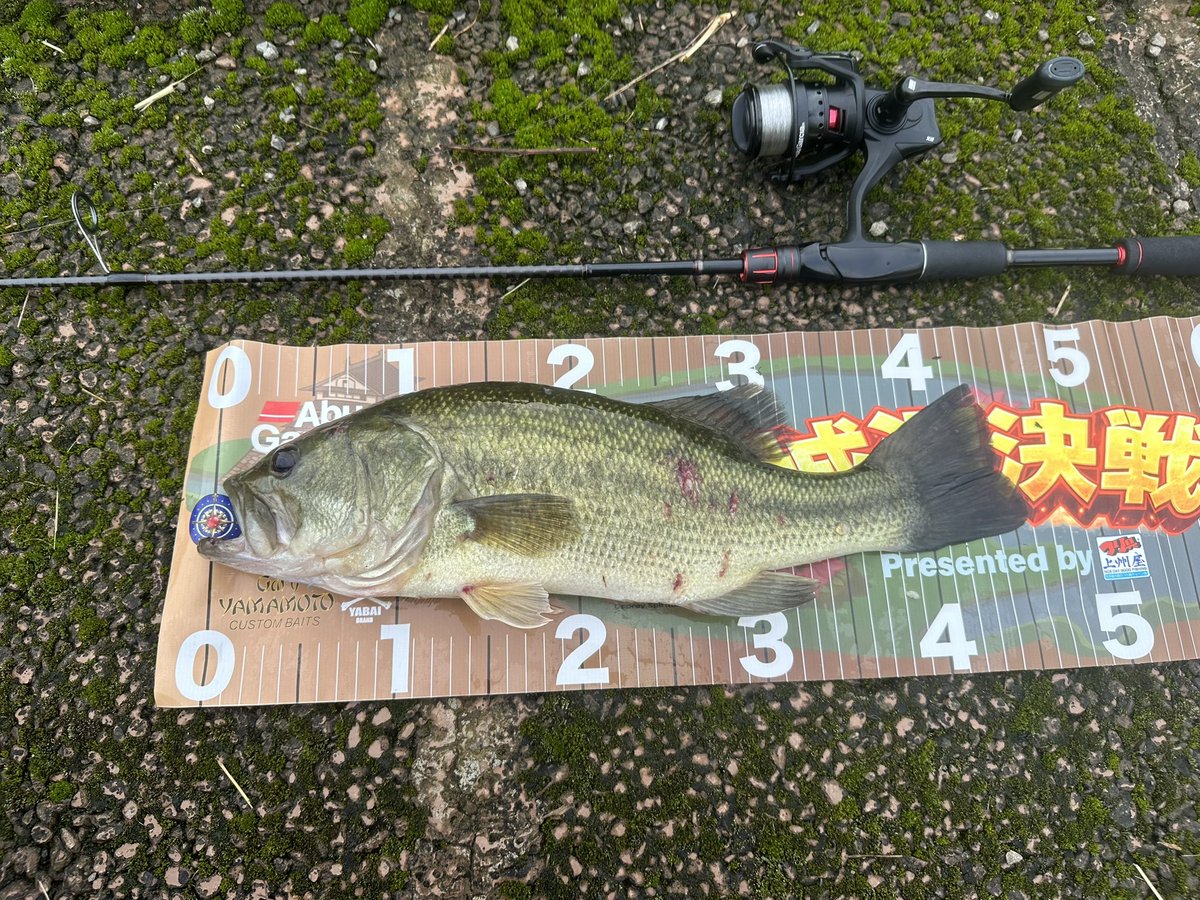 piguret18's tweet photo. 旅行前釣行🎣
隣町の小場所でサイト👀AVIクロスで👍
2.3日は海釣りもできそうで楽しみ😊
#バス釣り #サイトフィッシング https://t.co/tLDuwn6IkI