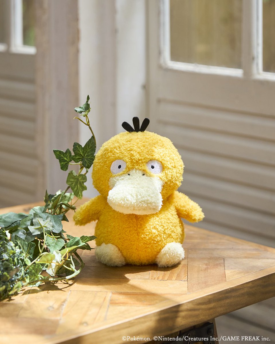 pikachu_pcn's tweet photo. 【ポケットモンスター】コダック　もこもこぷち/ディグダ　もこもこぷち

公式サイト更新されました

↓詳細はリプ欄で https://t.co/u2hfdAWyKX