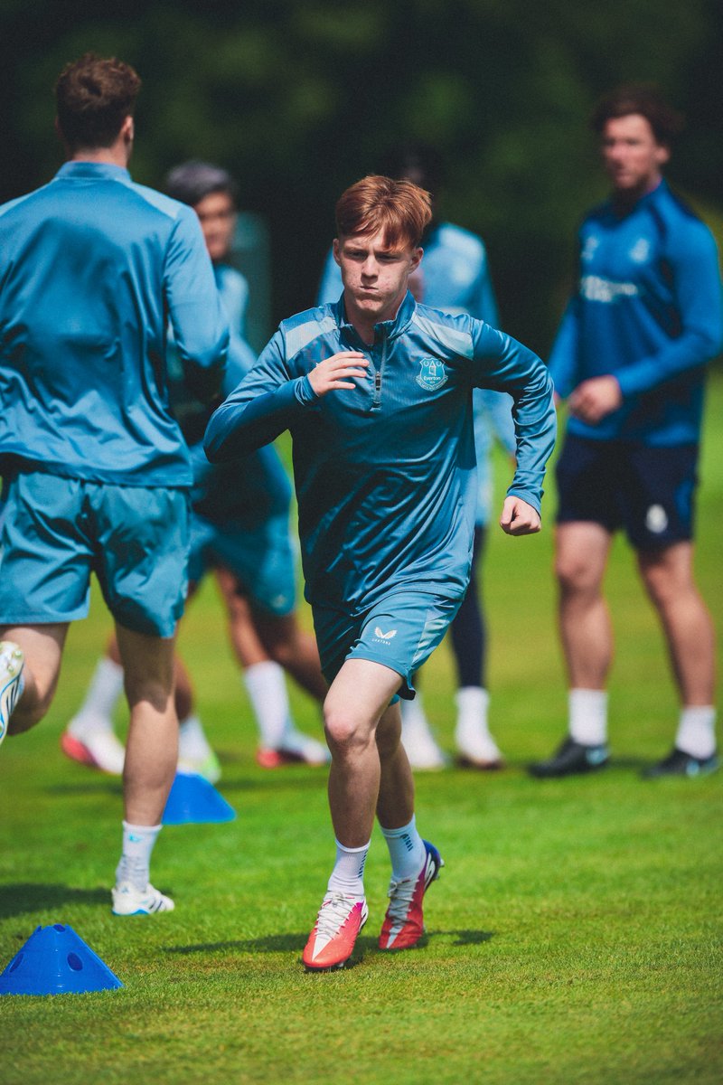 Everton tweet media