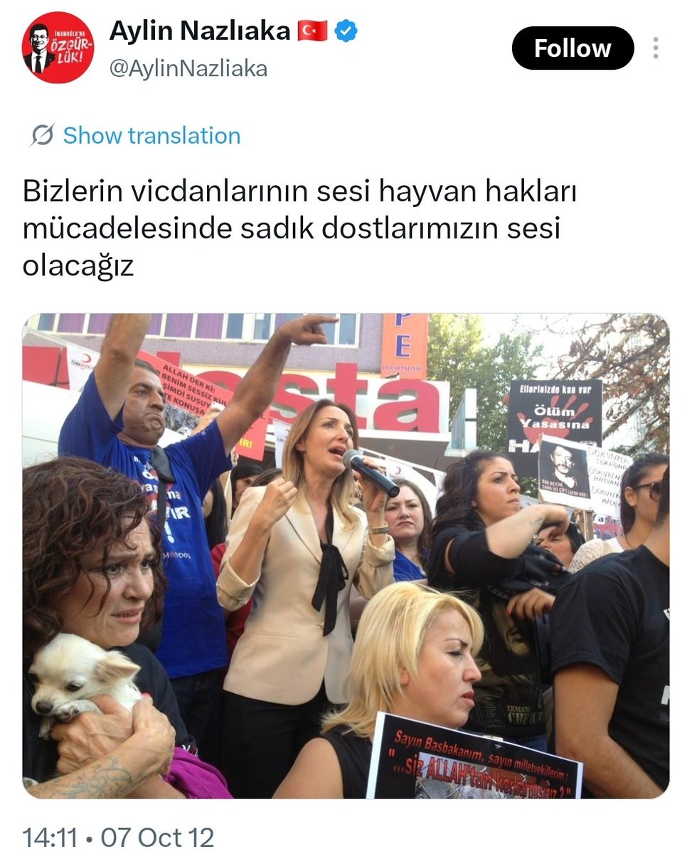 KopekTehlikesi's tweet photo. Bugün çocuk katillerin cezasını arttıracak yasaya karşı çıkan CHP milletvekili Aylin Nazlıaka, yıllarca köpeklerin sokakta başıboş kalması içinde en ön safhadaydı.

Bunlar halk için değil, lobilerin çıkarı için çalışıyor. 

Çocuk katiller az ceza alırsa Daltonlar, Casperler vs suç örgütleri mutlu olur. 

Başıboş köpekler sokakta kalırsa mama lobisi mutlu olur.

Mama lobisi bir suç örgütüdür.