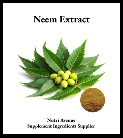 trueNutriAvenue's tweet photo. 🌿 Botanical ingredients are driving the future of wellness.
Neem Extract Powder is gaining attention for its plant-based profile, versatile supplement applications, and role in today's clean-label nutraceutical market.
🔗 https://t.co/xGjHbFNNOL
#NeemExtract https://t.co/63xM9W5qPm
