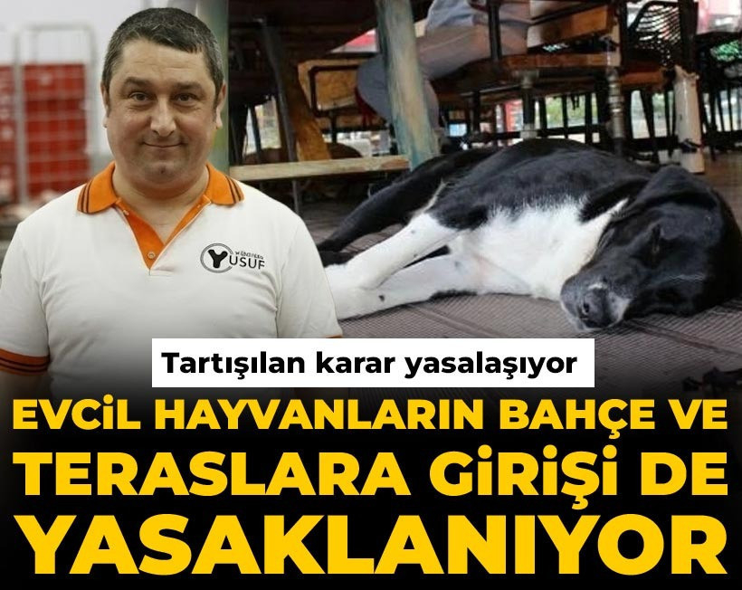 halktvcomtr's tweet photo. Evcil hayvanların bahçe ve teraslara girişi de yasaklanıyor

Geçen yıl Köfteci Yusuf'un adımıyla tartışılan uygulama, açık alanları da kapsayacak şekilde tüm Türkiye'de zorunlu olacak
https://t.co/nf2T53OMAb https://t.co/YvFGKE8oQJ
