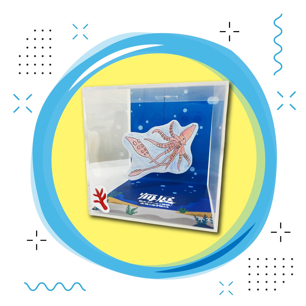ワークショップのお知らせ】 夏企画展限定ワーショップ 「海の古生物