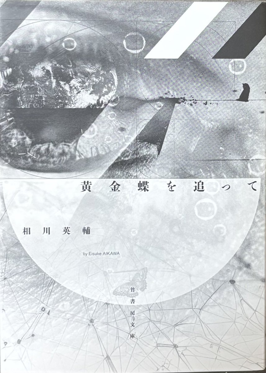 yrsk_syr's tweet photo. 相川英輔さん『黄金蝶を追って』 #読了 
6編のSF短編集。
初読みの作家さんでしたが、どのお話も面白かったです。
日常と非日常のバランスが絶妙で美しく、少し不思議な世界観に酔いしれることができました。
各話、独立したお話かと思いきやリンクしてる部分もあったりして、そういう部分も好きでした https://t.co/9H08P8nAzA