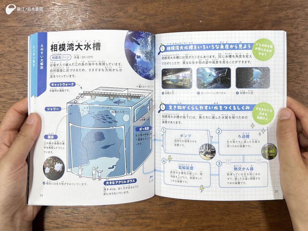 enosui_com's tweet photo. えのすい海のずかん シリーズ第二弾📘
🆕えのすい大解剖図鑑
📍メインショップ

図鑑のテーマは、えのすいと、
えのすいで飼育している生物の「解剖」

生物の体の仕組みや、水槽の構造、
館内外でのスタッフの仕事など、
普段は見れない水族館の裏側が
詰まった1冊です🫧

https://t.co/ZbIfWcOWhq https://t.co/UWaq6qSxDN