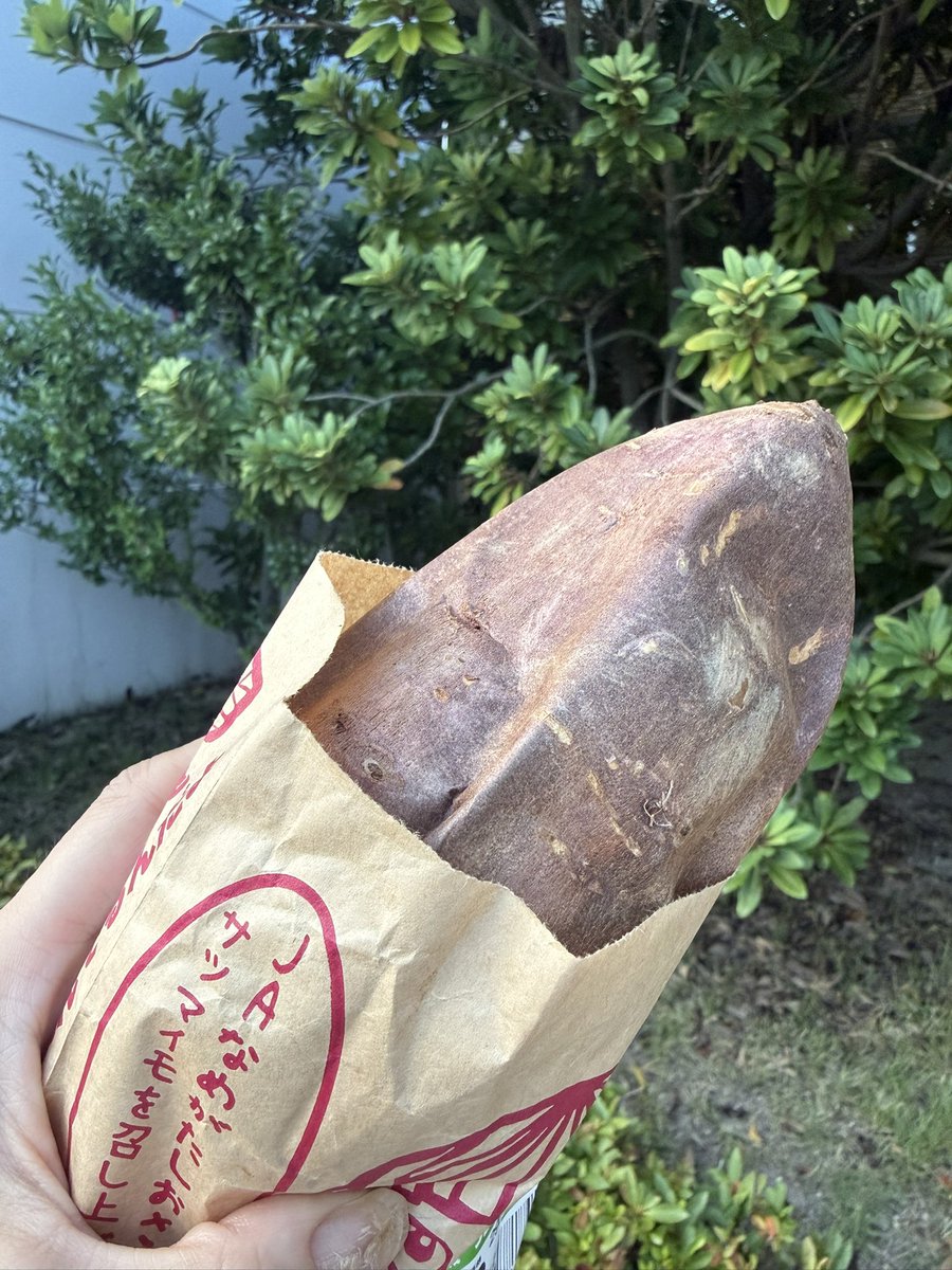 jun0830arashian's tweet photo. 暑いですが、これ食べてウォーキングしまぁす🚶‍♀️

 #ウォーキング #さつまいも https://t.co/xxNkTgduvE