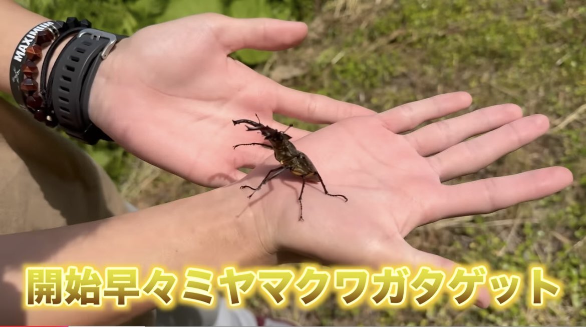 noa__k73's tweet photo. 前から思ってたけど、ルコくん指細くて長くて手がめっちゃ綺麗🖐️
手が綺麗な人好きなっすよ🥰
2枚目は、スクショタイムっすよね？🤭かわゆいのである🥰 https://t.co/AHVfTqCqaP