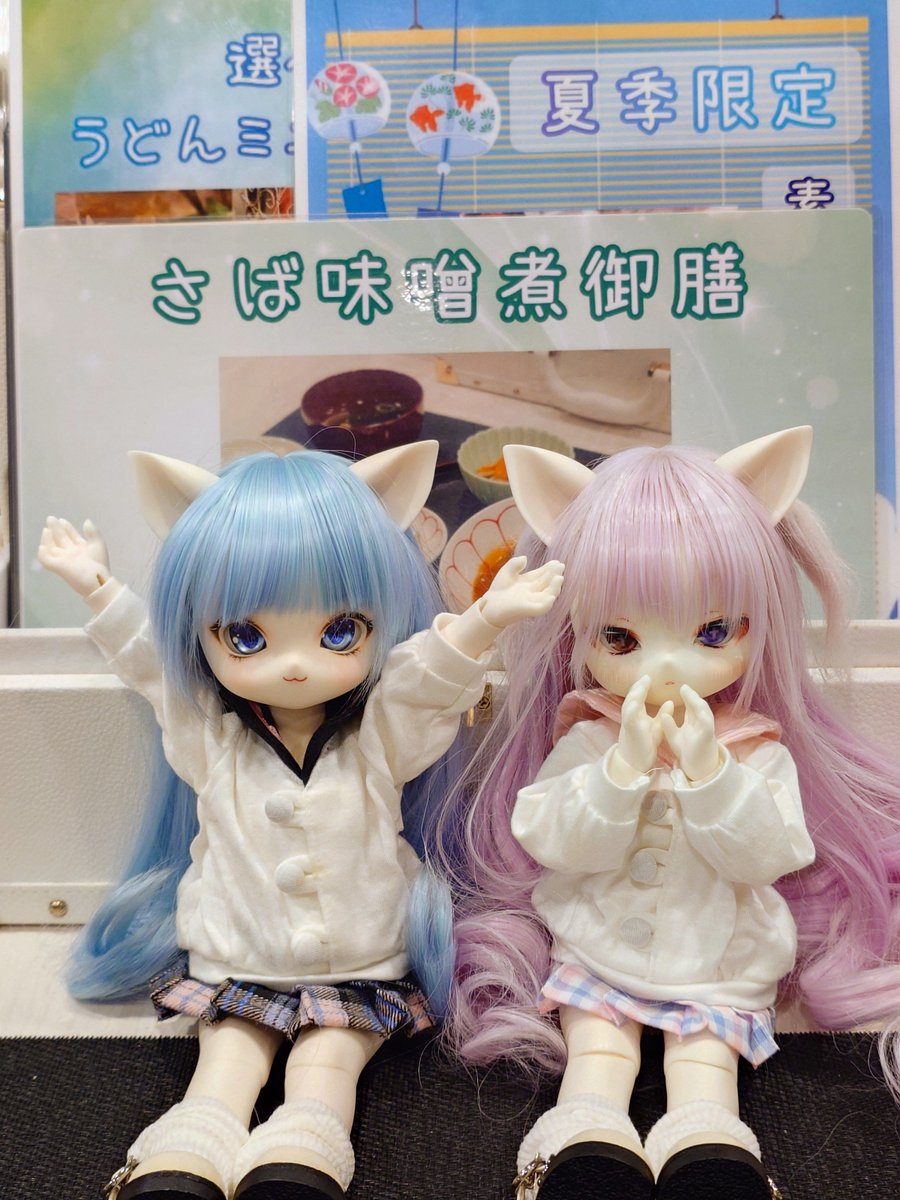 marimo_msh's tweet photo. レオノールさんにお邪魔しています😺😺✨ https://t.co/tqHMUCL7kv