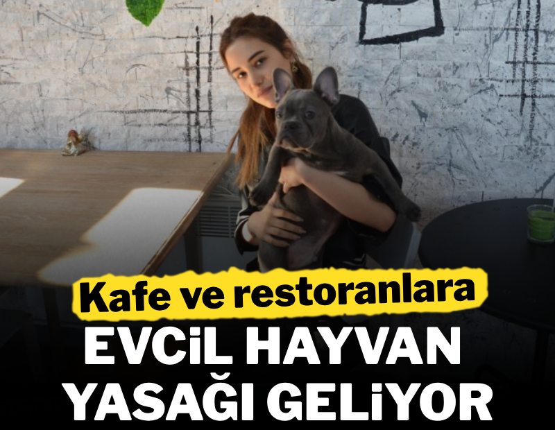 Sözcü tweet media