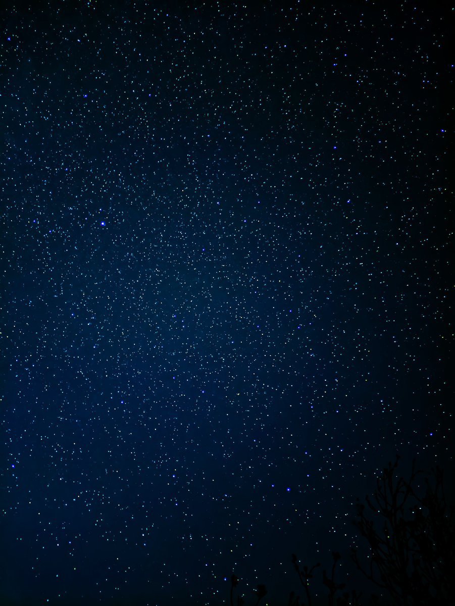 oceanweavee's tweet photo. Sea of stars ⭐ https://t.co/IeIn6NO0BA