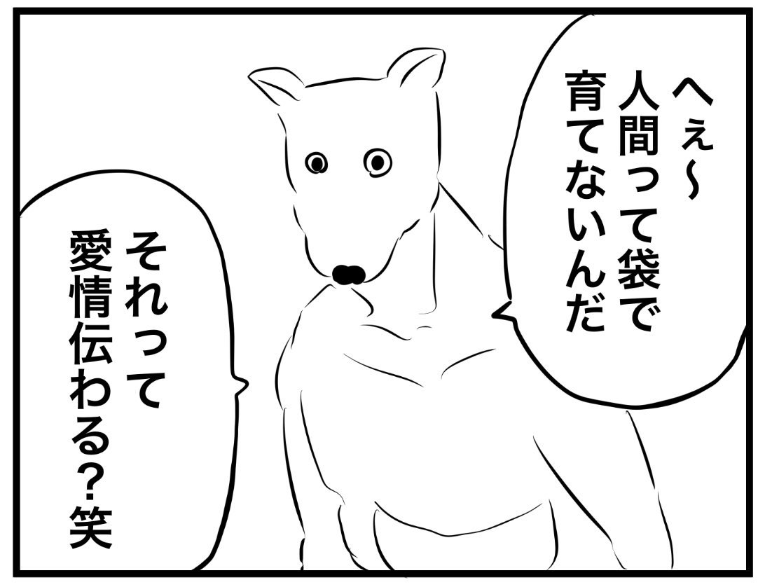appledog_eringi's tweet photo. イヤなカンガルー https://t.co/mazJNO2UPc