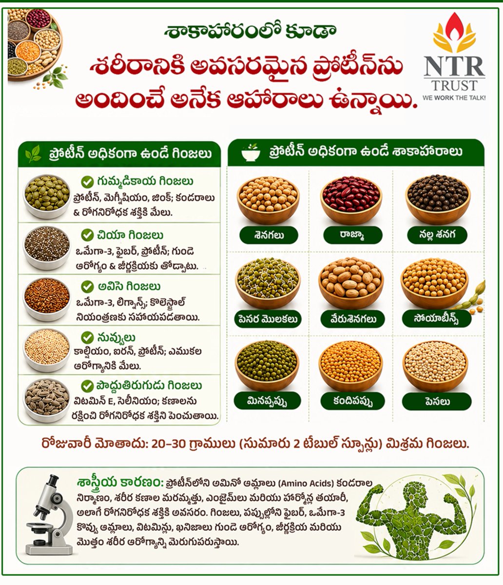 ntrtrust's tweet photo. మీ రోజువారీ ఆహారంలో ప్రోటీన్ ఎంత ఉంది?

ప్రోటీన్ మన శరీర కండరాల నిర్మాణానికి, రో��నిరోధక శక్తికి, శక్తివంతమైన జీవితానికి ఎంతో ��వసరం.

ఈరోజు నుంచే మీ ఆహారంలో:
 - పప్పులు
 - శనగలు
 - రాజ్మా
 - పెసలు
 - సోయాబీన్స్

వంటి ప్రోటీన్ అధికంగా ఉండే ఆహారాలను చేర్చండి.

  మీకు ఇష్టమైన ప్రోటీన్ ఫుడ్ ఏది? కామెంట్ చేయండి!

#NTRTrust #HealthAwareness #ProteinRich #HealthyChoices #NutritionMatters #HealthEducation #EatHealthy #HealthAwareness #HealthyLifestyle #TeluguHealth #NTRTrust #HealthyLifestyle  #PublicHealth #healthtips #healthtipsdaily #healthtipsoftheday #healthtipsforyou