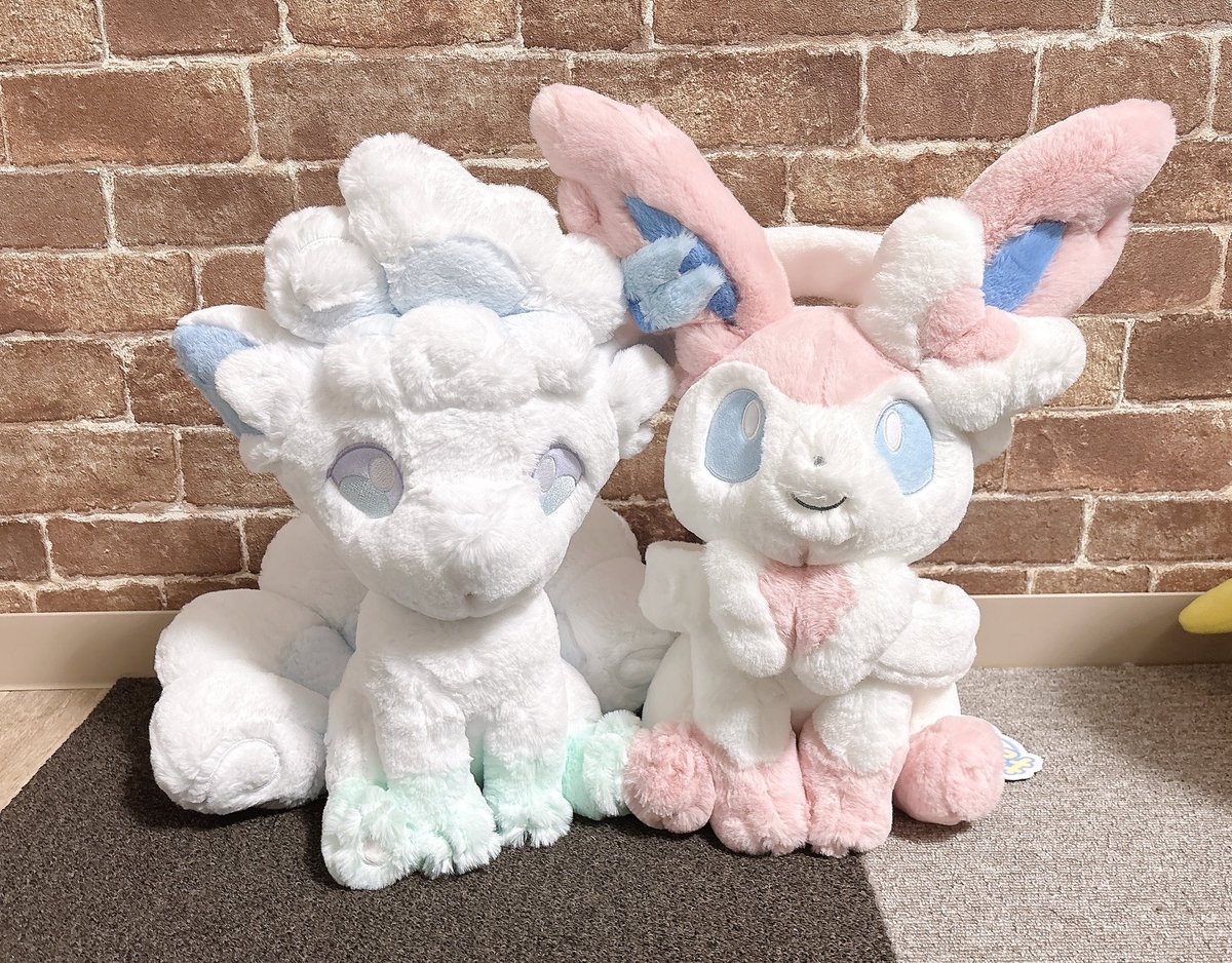nyazuta's tweet photo. アロコンとニンフィアのふわふわ抱きぬいぐるみ届きましたわ！ふわふわですわ！可愛い〜❄️🎀 https://t.co/xFc7i64m85