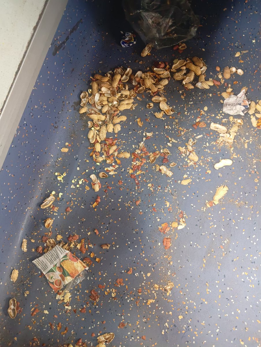 TheDecoder_3's tweet photo. While travelling on the New Jalpaiguri Express from Kishanganj to Siliguri, I saw passengers eating peanuts and throwing the shells inside the train. They don't deserve development they deserve belt treatment @RailMinIndia https://t.co/ozhwgjDk7f