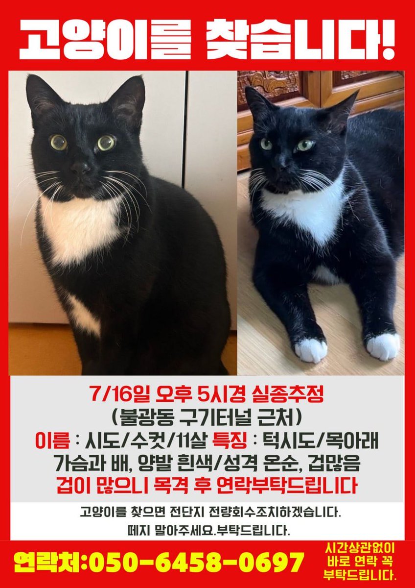 나디아 tweet media