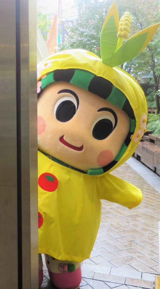 tsugarubrand's tweet photo. 追伸
つがーるちゃんです（。∂◡∂。☀）

いざ！今年も大阪へ(^O^)／
メロンPRでお邪魔します♡
7月25日（土）9:00～14:00
大阪吹田市ＫＯＨＹＯ山田店さんです♡
（名古屋から瞬間移動(*''▽'')）

メロンの試食、いっぱいありますので
是非つまみにきてください♡

お待ちしてます♡ https://t.co/tREpTXZ4i8