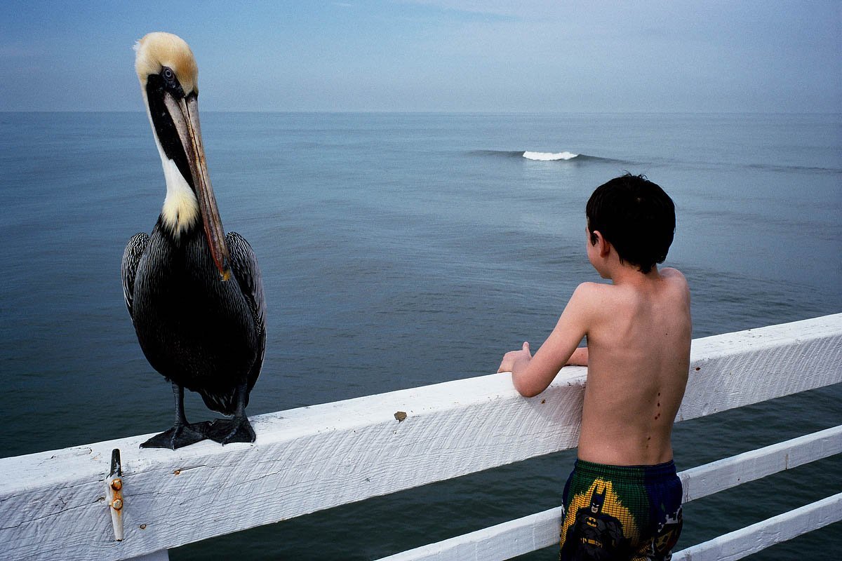eyeonaxis's tweet photo. "A good picture is a surprise", Constantine Manos https://t.co/QHiuxNqysh