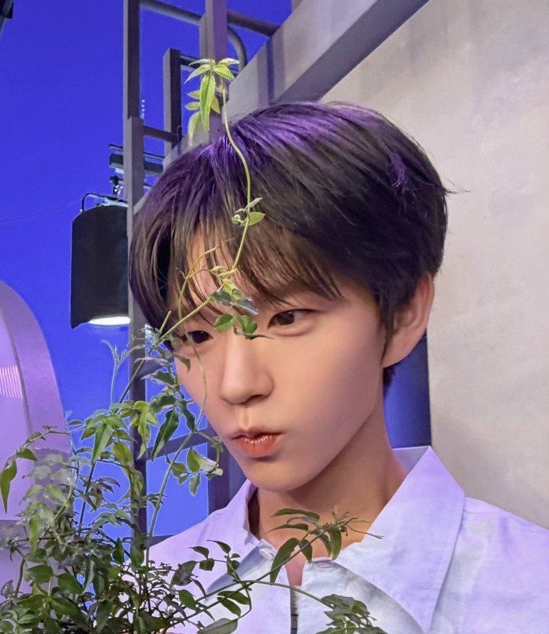 이랑 tweet media