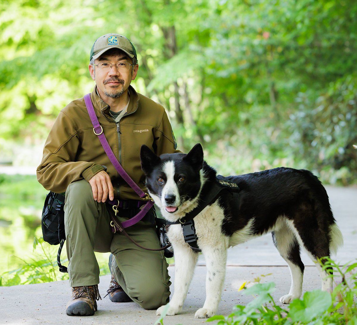 rainwatersystem's tweet photo. クマの目撃情報が増えているのは、人間がクマの生息地にどんどん入り込んでいるからです。一方で、人間が犯した犯罪や殺人事件がクマのせいにされています。メディアを通じた心理操作と恐怖煽りによって、母グマを殺して子グマを孤児にするような駆除を支持する世論が作られています。#クマを守ろう @grok