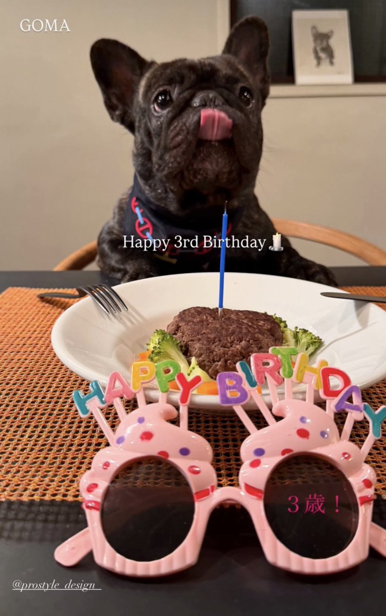 ご近所のデザイン事務所の社長さんの愛犬、お誕生日だそうで