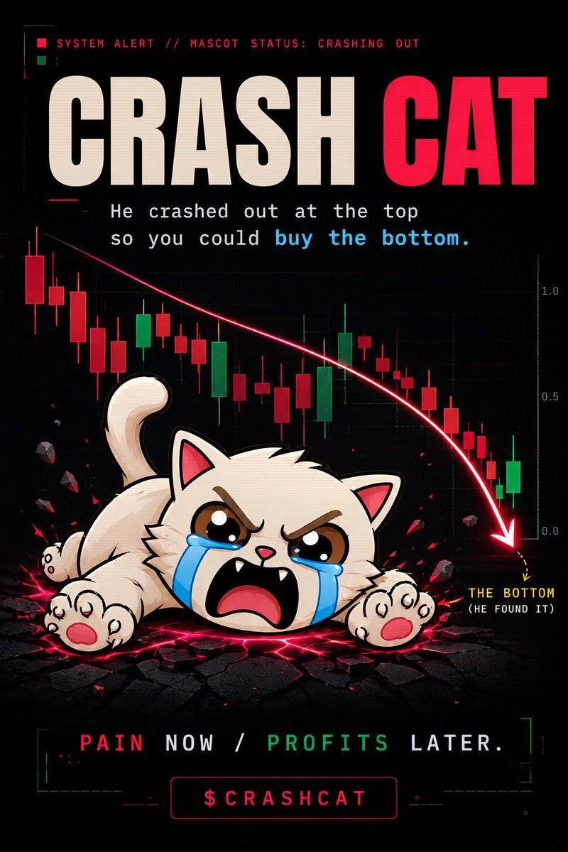 Crash Cat tweet media