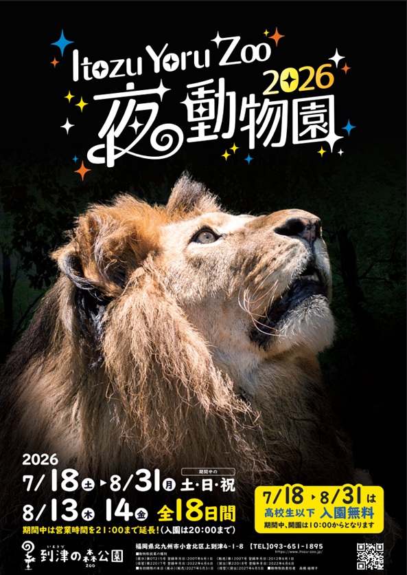 itozu_zoo's tweet photo. ／
 Itozu Yoru Zoo ～夜の動物園～
 はじまるよ～🌠
＼

明日7月18日(土)から
 #到津の森公園 #夜の動物園 がスタートします🦁

🗓️開催日
　7月18日～8月末日の土・日・祝
　8月13日(木)・14日(金) 10:00～21:00(入園は20時まで)

💁‍♀️お知らせ
　-8/31まで10時開園となります！
　-8/31まで高校生以下の方はなんと入園無料！
　
夜の動物園で最高の夏の思い出を作ろう💓