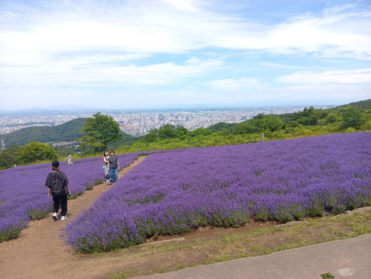 hamahafox's tweet photo. 幌見峠ラベンダー園
ラベンダー満開だったし札幌一望できてきれいだったー(⁠≧⁠▽⁠≦⁠) https://t.co/8bTGiySyuF