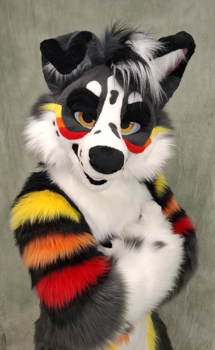 TheKarelia's tweet photo. Happy #FursuitFriday everyone! ☀️  Here's our newest creation. The fursuit for @PandaTheCollie 😊 https://t.co/ccGXnKju6o