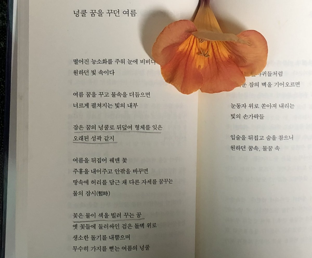 themoneey's tweet photo. 떨어진 능소화 주워서 낭만잇게 능소화 관련 시 페이지에 끼워가지구 압화만들엇는데   오늘 펼쳐보고 너무 놀래서 다시 덮음... https://t.co/xU5ab8GpMm