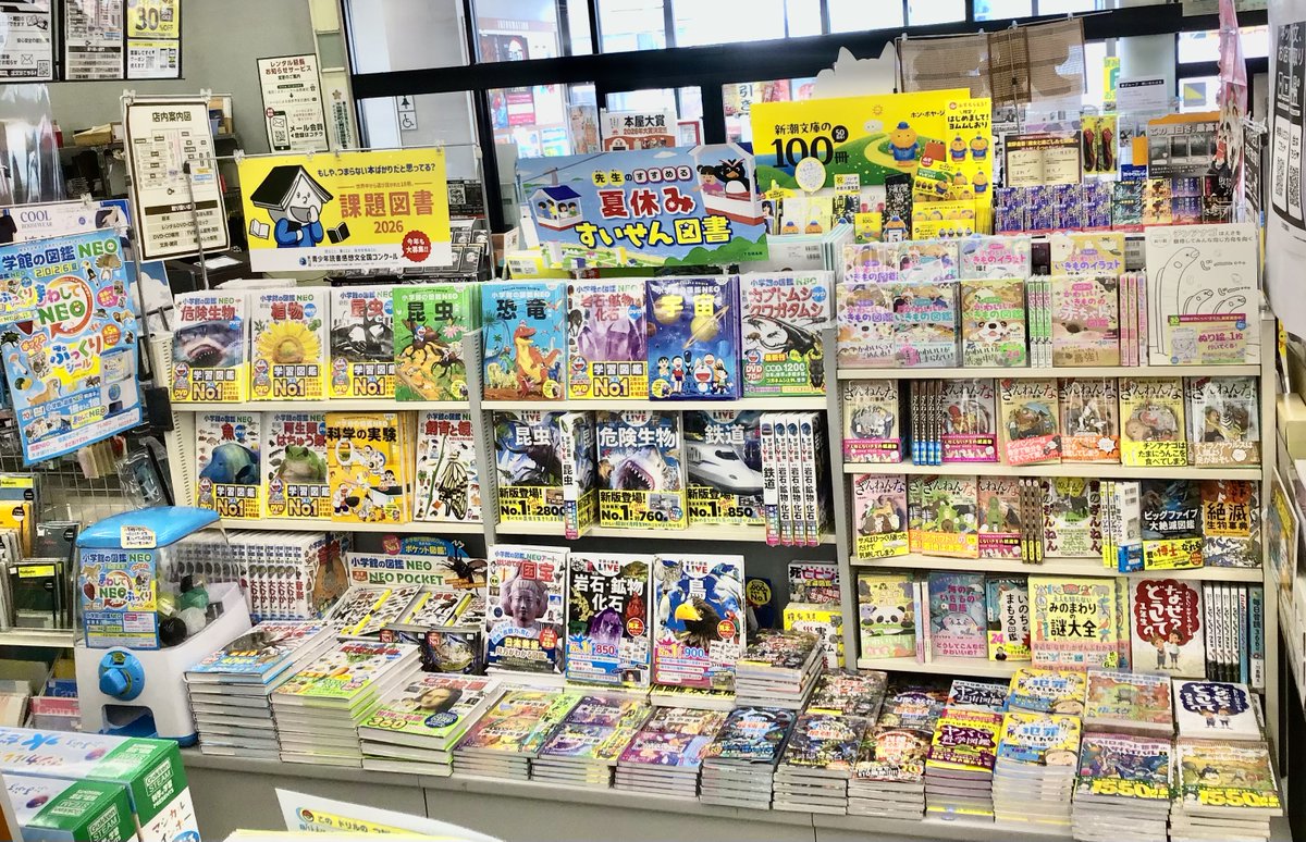 🌊夏の図鑑フェア開催中☀️ 一学期を終えた皆さま！ 夏休みはいかが