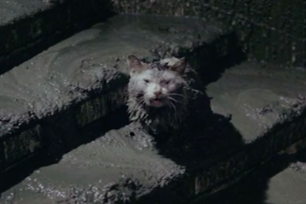Mr_Tronfield's tweet photo. Watching #Godzilla vs Hedorah right now. It really feels like they were trying to be artsy with this one. They really stuck a baby in the mud and covered a kitten with slop for the bit. https://t.co/yjHkHn7Jy1